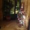 The Burrow Guest House