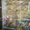 The Burrow Guest House