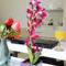 Valletta Boutique Apartments