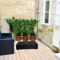 Valletta Boutique Apartments