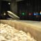 Seashells Resort – AX Hotels