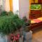 Maria Giovanna Guest House