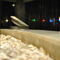 Seashells Resort – AX Hotels