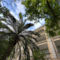 Corinthia Palace Hotel & Spa