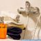 Sliema Boutique Apartment