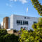 Pinewood