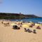 Kuana Penthouse