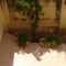Maisonette Apartment