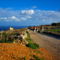 Gozo Green Living