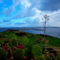 Gozo Green Living