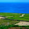 Gozo Green Living