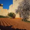 Gozo Green Living