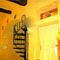 Tal Hassi