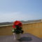 Guesthouse Bambina