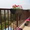 Guesthouse Bambina