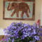 Guesthouse Bambina
