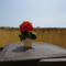 Guesthouse Bambina