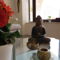 Guesthouse Bambina
