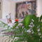 Guesthouse Bambina