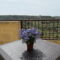 Guesthouse Bambina